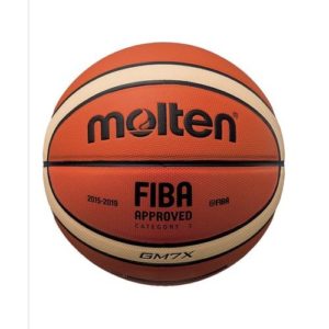 Ballon De Basket Premium