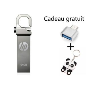 Hp Clé USB - 64G + Adaptateur OTG + Porte-clés - Argent