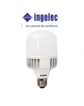 Ampoule Led Haute Puissance 20W E27 - Blanc