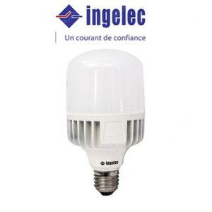 Ampoule Led Haute Puissance 30W E27 - Blanc